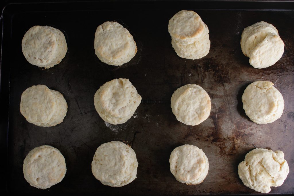 Three rows of scones sit on a baking sheet, waiting to be eaten.