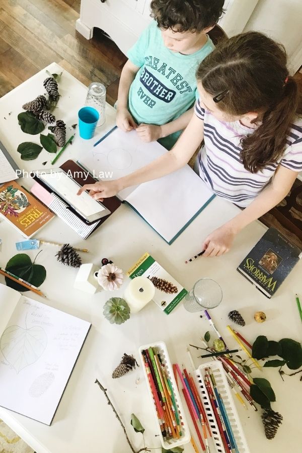 A mother and children study science at their kitchen table.